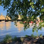 IMG_4480 (1)