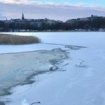 IMG_1904 (1)
