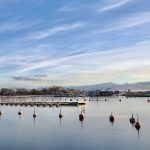 IMG_8882